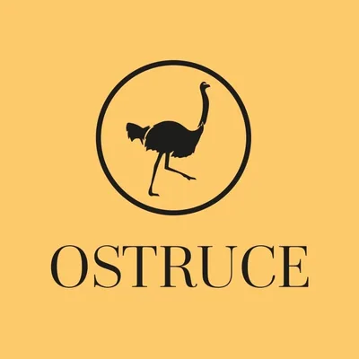 @ostruceofficial profile image