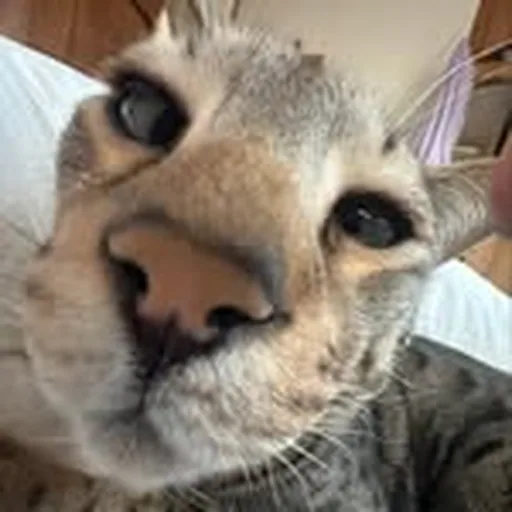 @ottomarriott profile image