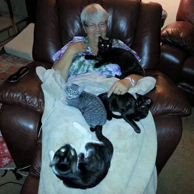 @our_fosterkitties profile image