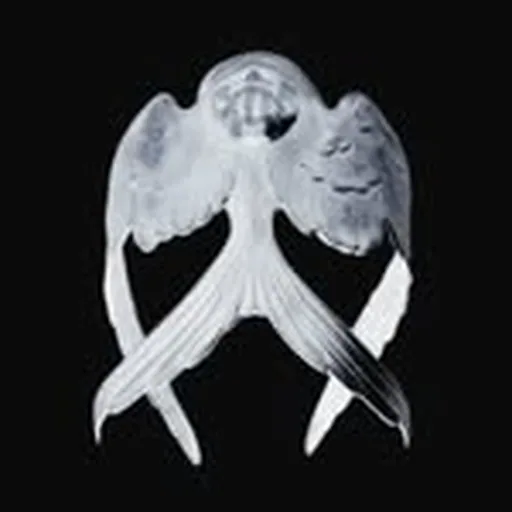 @ouri.riou profile image