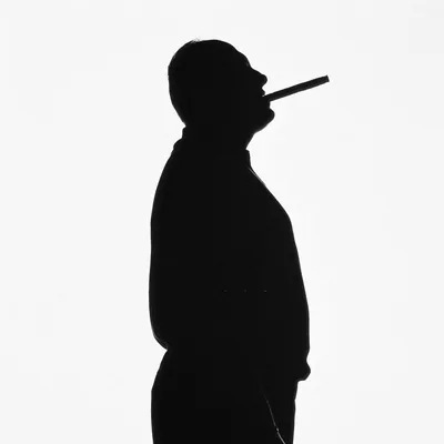 @owl_picasso profile image