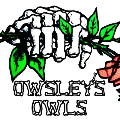 @owsleysowls profile image