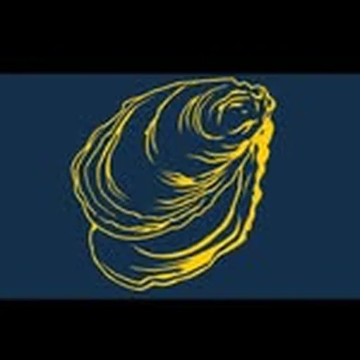 @oystershack_ profile image