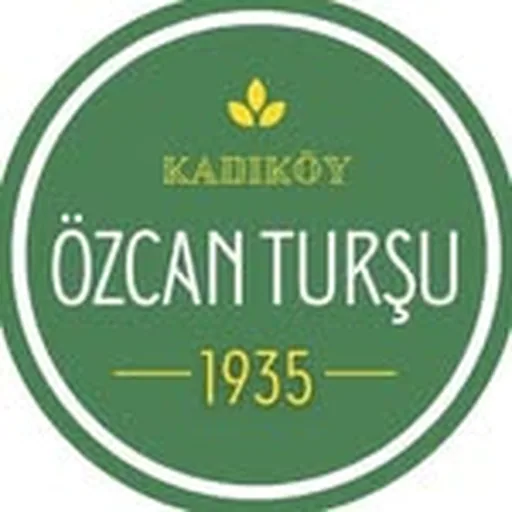 @ozcantursu profile image