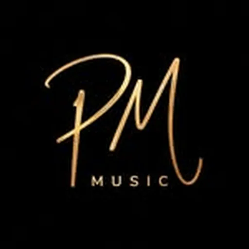 @p_m_music profile image