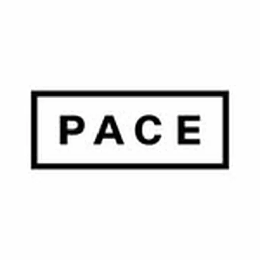 @pacegallery profile image