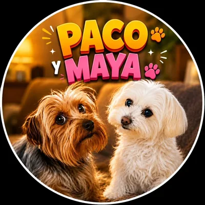 @paco_y_maya profile image