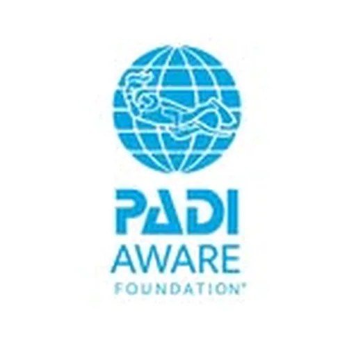 @padiaware profile image