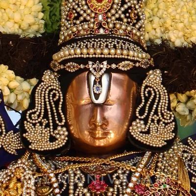 @padmanivasam_ profile image