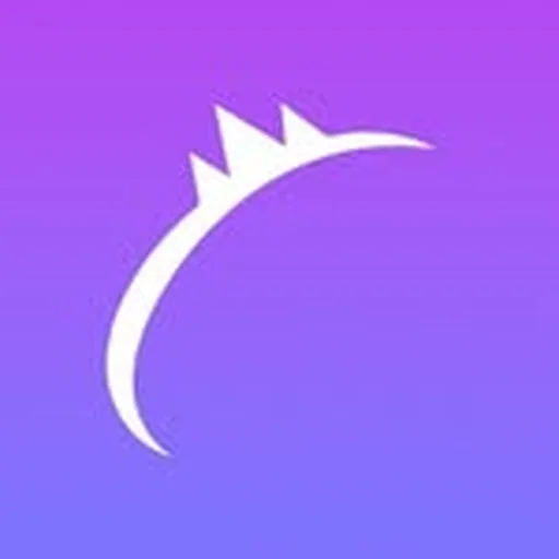 @pageant.vision profile image
