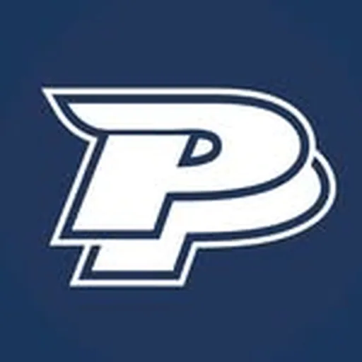 @painfulpleasures profile image