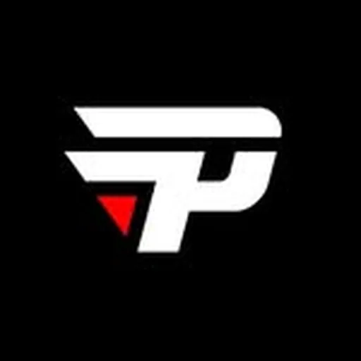 @paingamingbr profile image