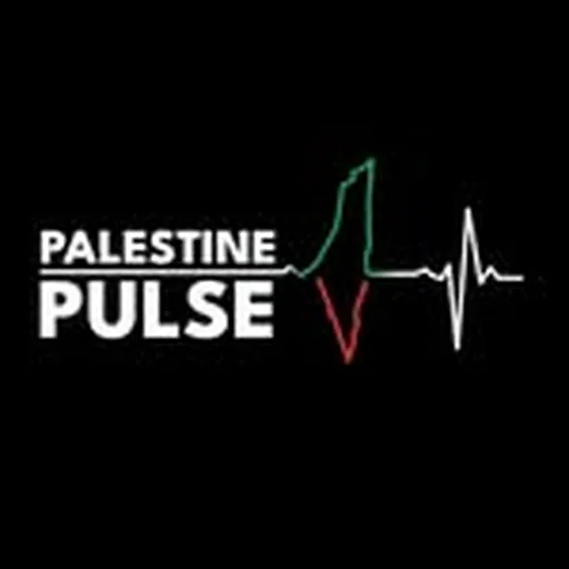 @pal_pulse profile image