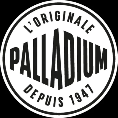 @palladium.in profile image