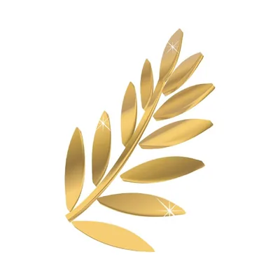 @palmafest profile image