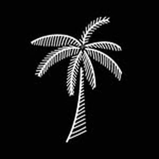 @palmettosuperfoods profile image