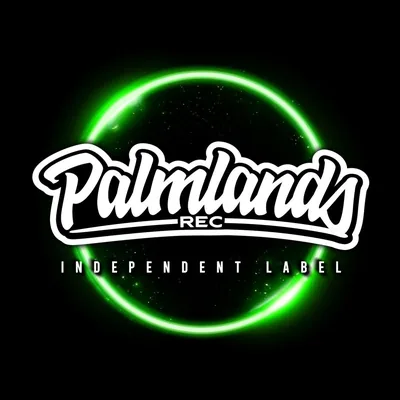@palmlands.records profile image