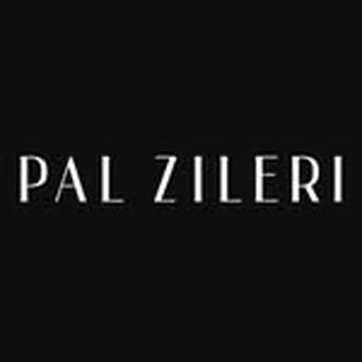 @palzileri profile image