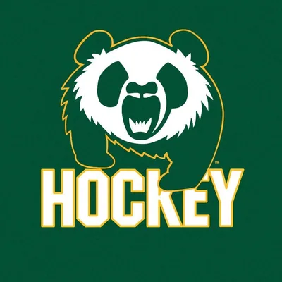 @pandaswhky profile image