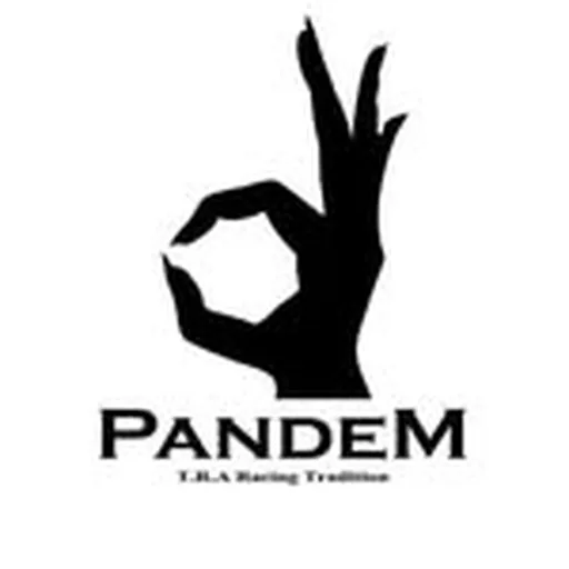 @pandemjapan profile image