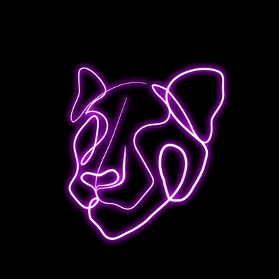 @panthera.ma profile image