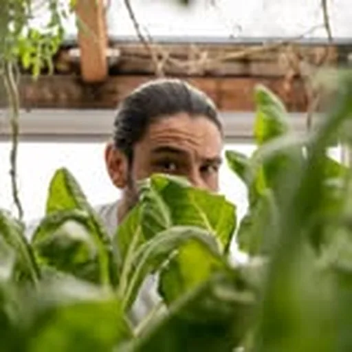 @paolocasanovachef profile image