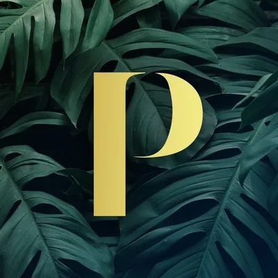 @paradiso_barcelona profile image