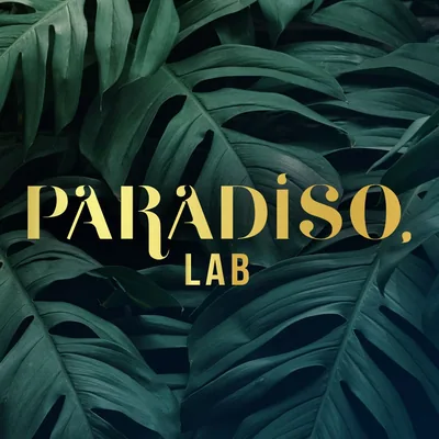 @paradiso_lab profile image