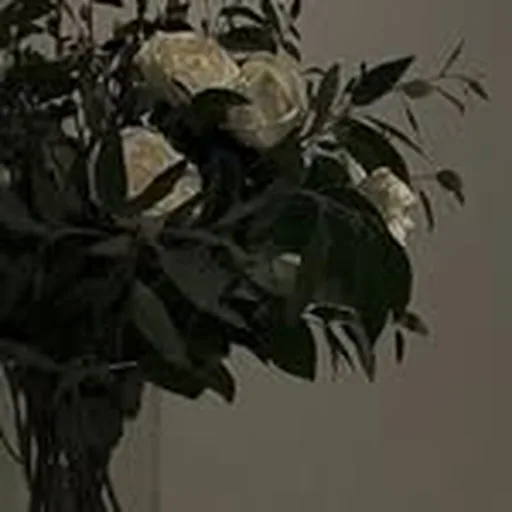 @parcheminn profile image