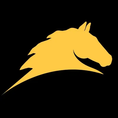 @parellinaturalhorsemanship profile image