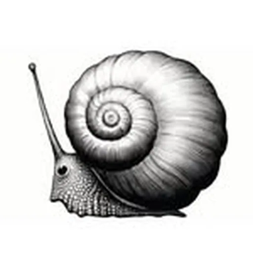 @pariscafeny profile image