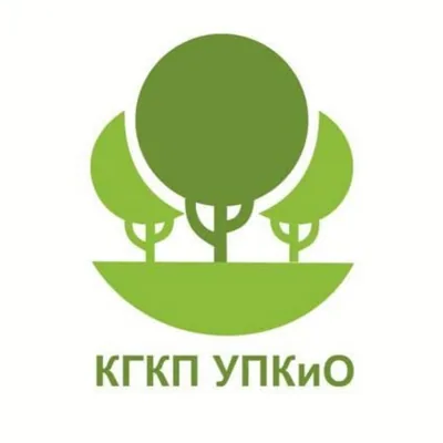 @park.vkrg profile image