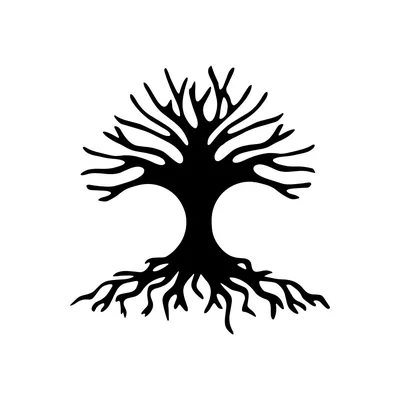 @parklosangeles profile image