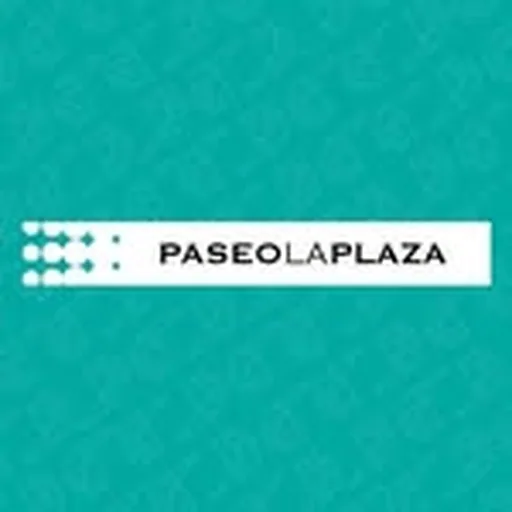 @paseolaplazaok profile image