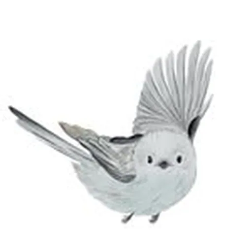 @passalinho profile image