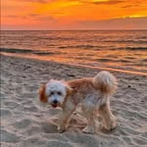 @passion_4_living_photos profile image