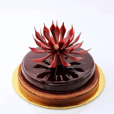 @pastry.france.mode profile image