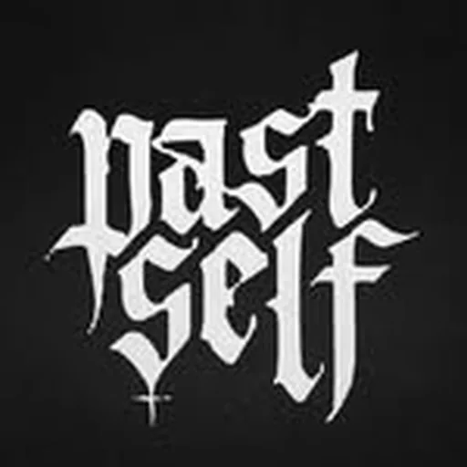 @pastself.exe profile image