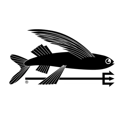 @patagonia_surf profile image