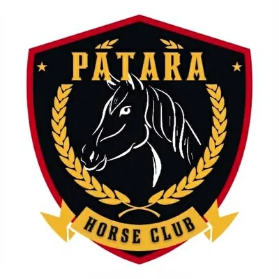 @patara_horse_club profile image
