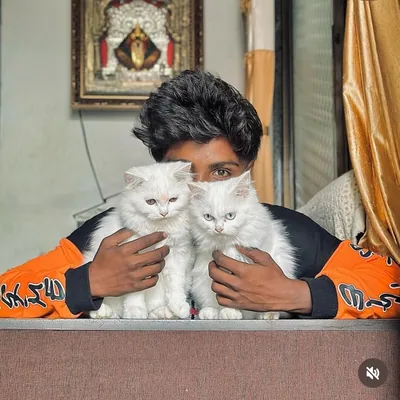 @patty_shinde_ profile image