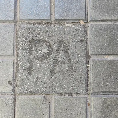 @pau.arenos profile image