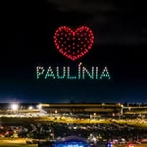 @paulinia.vistadecima profile image
