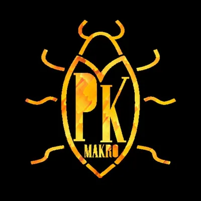 @paulkaempf_macro profile image