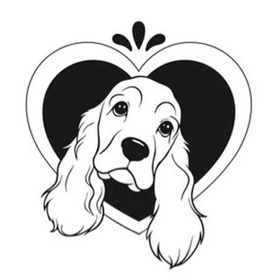 @pawdoras profile image