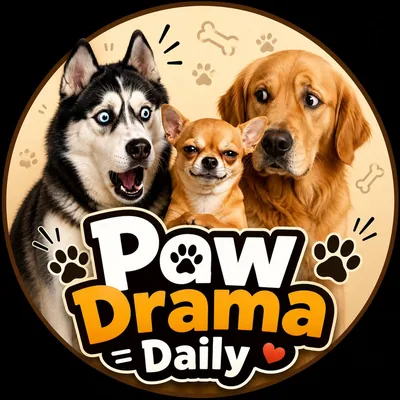 @pawdramadaily231 profile image
