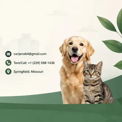 @paws_unit.springfeild profile image