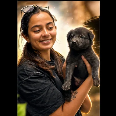 @pawsomehavenn profile image