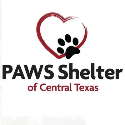 @pawsshelter profile image