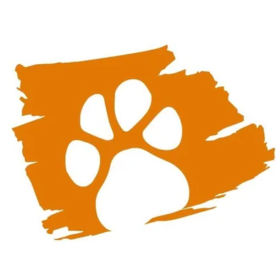 @pawstro_official profile image